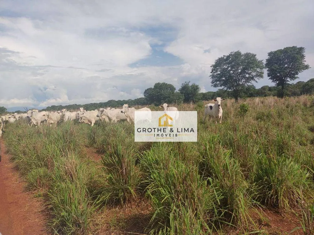Fazenda à venda de 1.394 ha em Pium, TO, Brasil