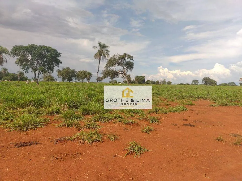 Fazenda à venda de 1.394 ha em Pium, TO, Brasil