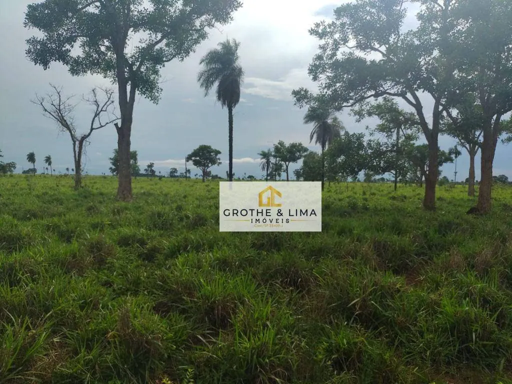 Fazenda à venda de 1.394 ha em Pium, TO, Brasil
