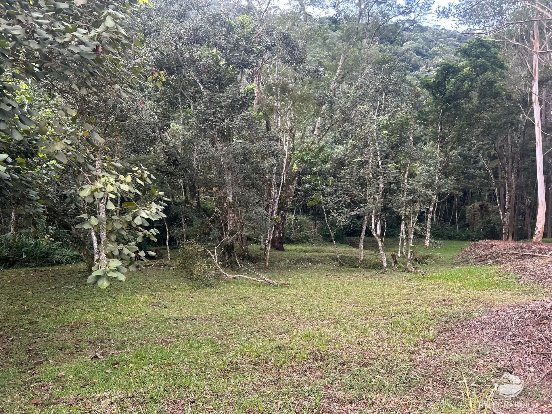 Plot for sale of 10 acres in Monteiro Lobato, SP, Brazil