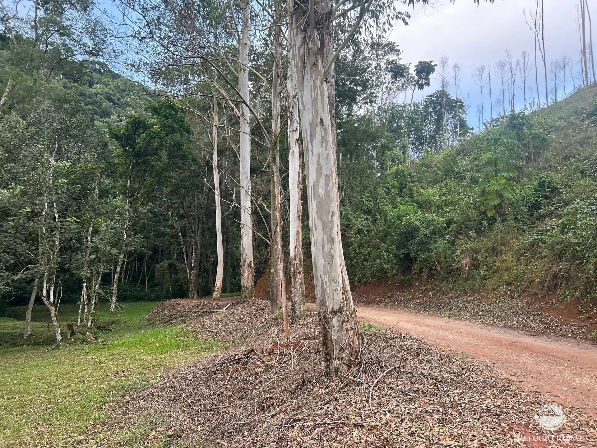 Plot for sale of 10 acres in Monteiro Lobato, SP, Brazil