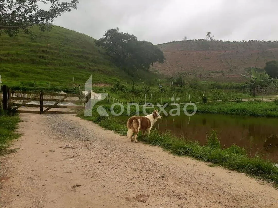 Fazenda à venda de 400 ha em Paraibuna, SP, Brasil