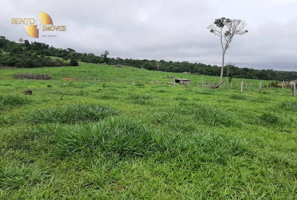 Fazenda à venda de 907 ha em Guarantã do Norte, MT, Brasil