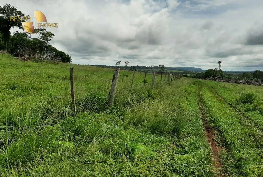 Fazenda à venda de 907 ha em Guarantã do Norte, MT, Brasil