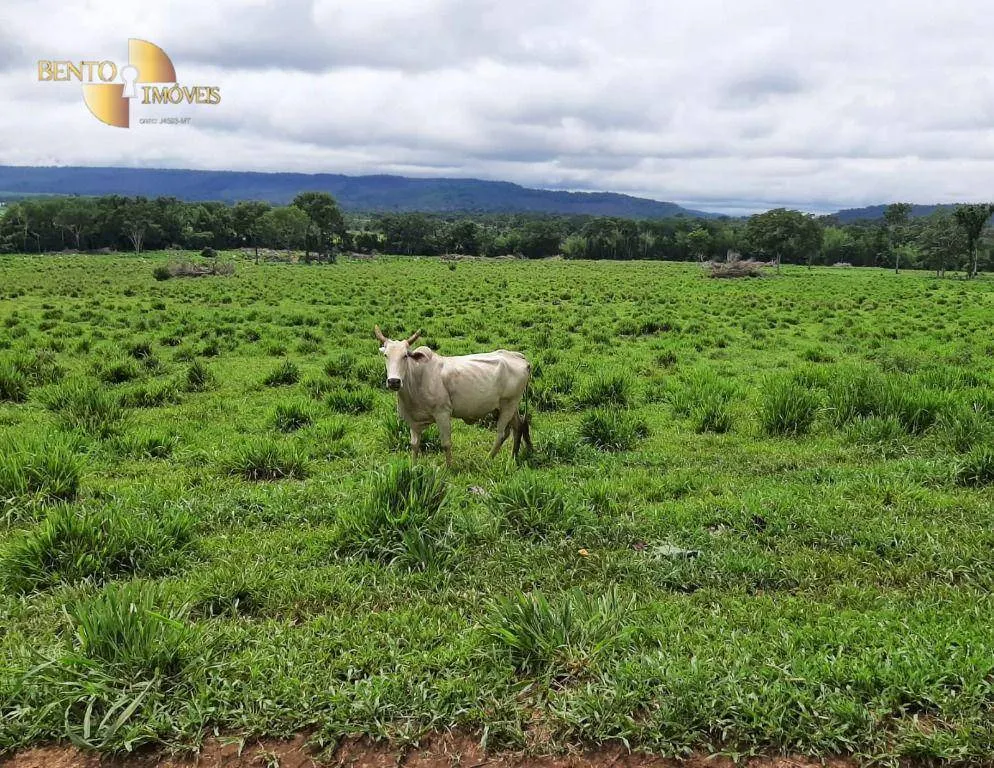 Fazenda à venda de 907 ha em Guarantã do Norte, MT, Brasil