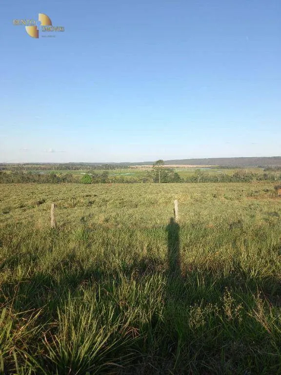 Fazenda à venda de 907 ha em Guarantã do Norte, MT, Brasil