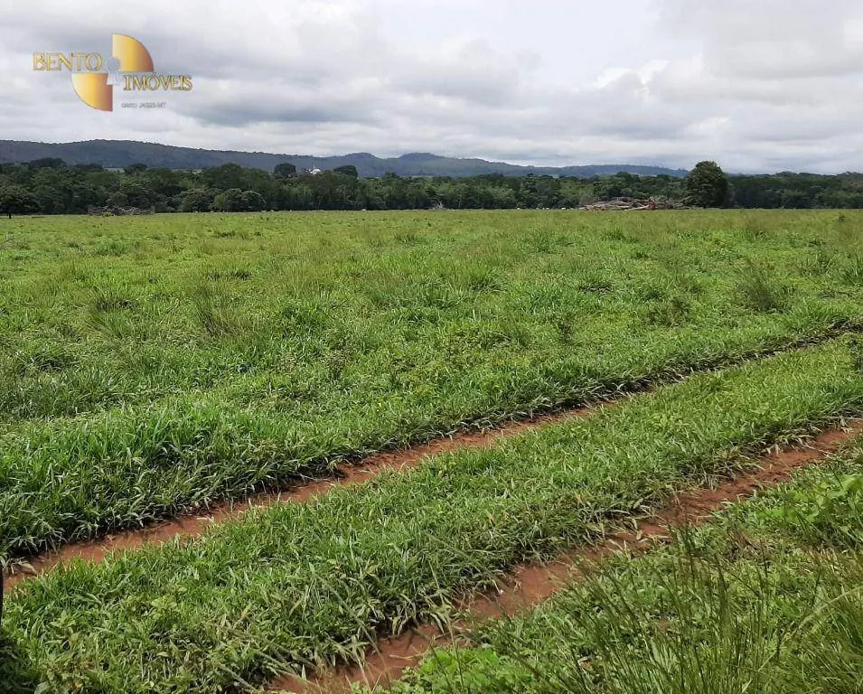 Fazenda à venda de 907 ha em Guarantã do Norte, MT, Brasil
