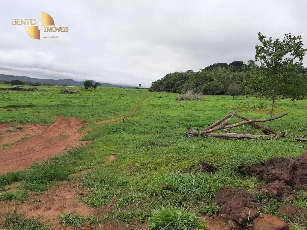 Fazenda à venda de 907 ha em Guarantã do Norte, MT, Brasil