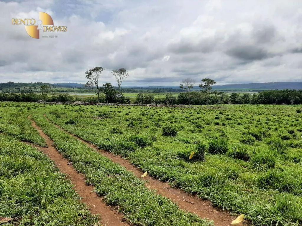 Fazenda à venda de 907 ha em Guarantã do Norte, MT, Brasil