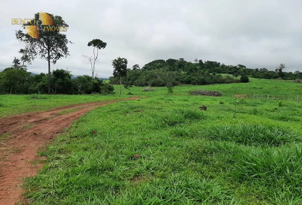 Fazenda à venda de 907 ha em Guarantã do Norte, MT, Brasil