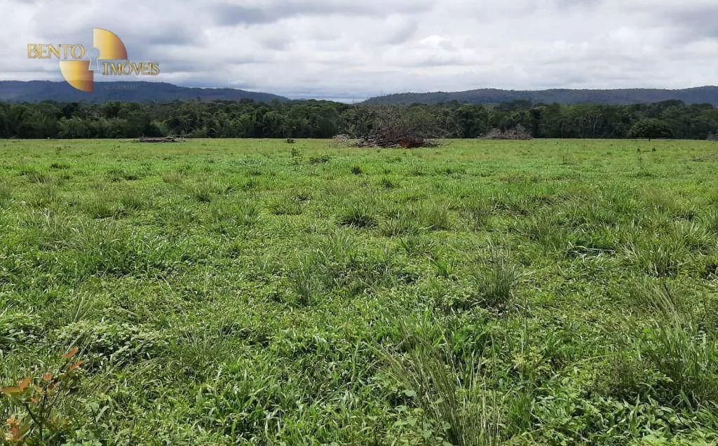 Fazenda à venda de 907 ha em Guarantã do Norte, MT, Brasil