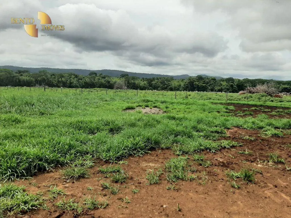 Fazenda à venda de 907 ha em Guarantã do Norte, MT, Brasil