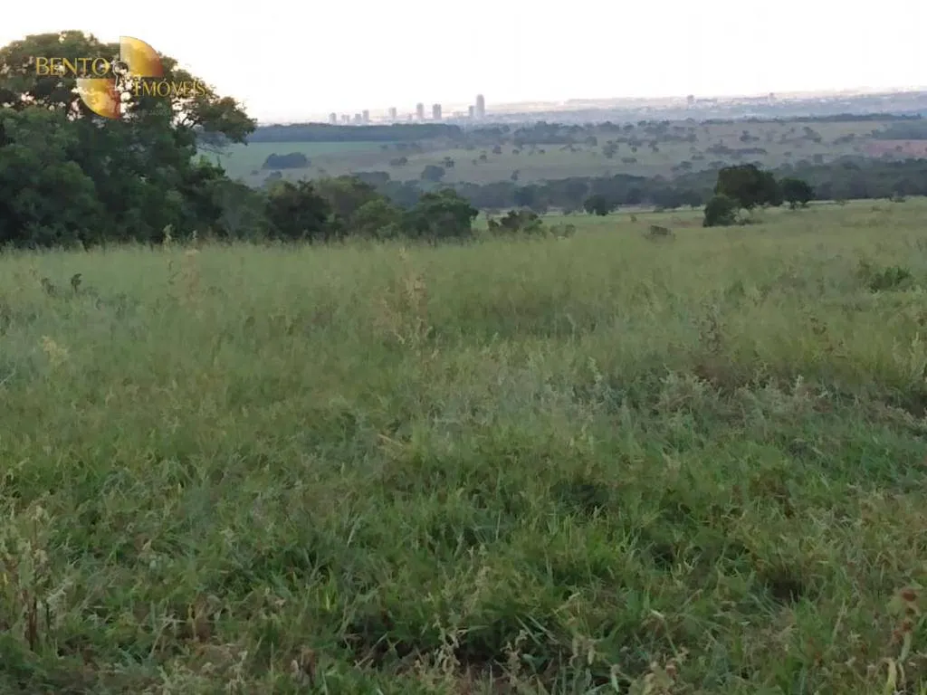 Fazenda à venda de 680 ha em Rondonópolis, MT, Brasil