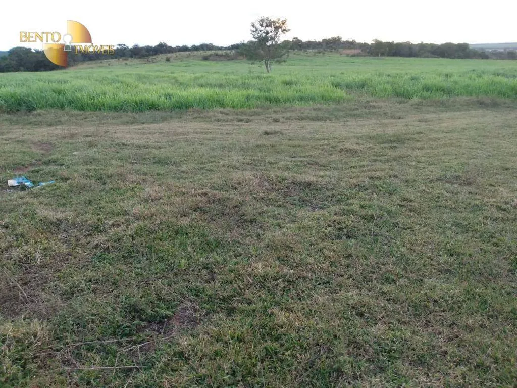 Fazenda à venda de 680 ha em Rondonópolis, MT, Brasil