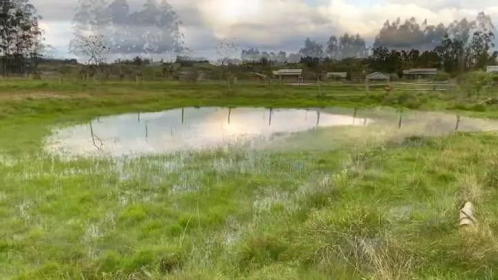 Chácara à venda de 3.600 m² em Santo Antônio da Patrulha, RS, Brasil