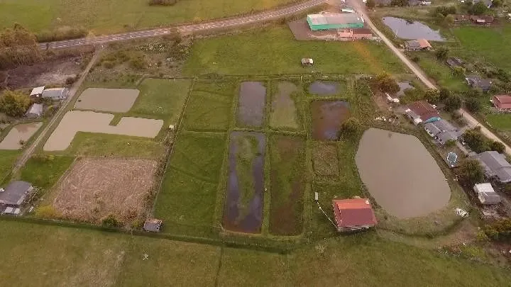 Chácara à venda de 3.600 m² em Santo Antônio da Patrulha, RS, Brasil
