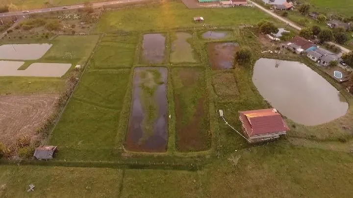 Chácara à venda de 3.600 m² em Santo Antônio da Patrulha, RS, Brasil