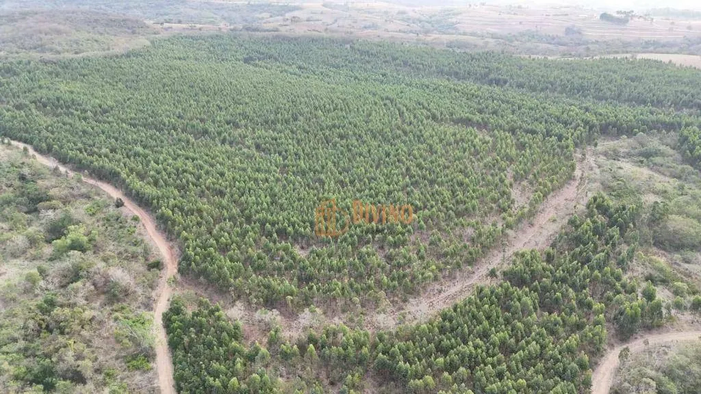 Fazenda à venda de 469 ha em Tatuí, SP, Brasil