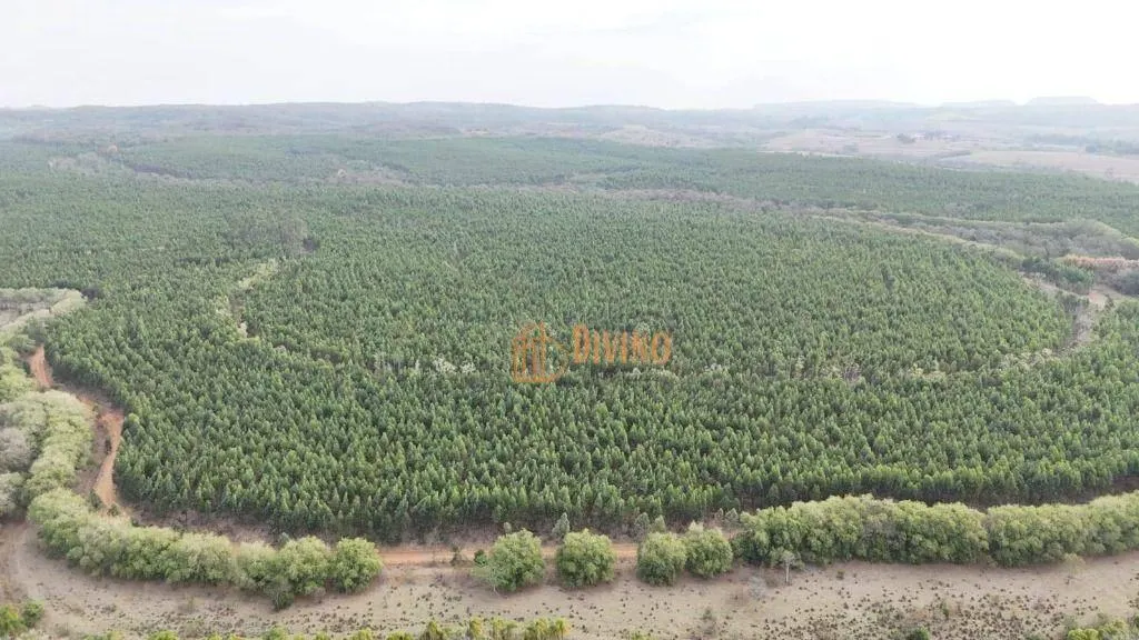 Fazenda à venda de 469 ha em Tatuí, SP, Brasil