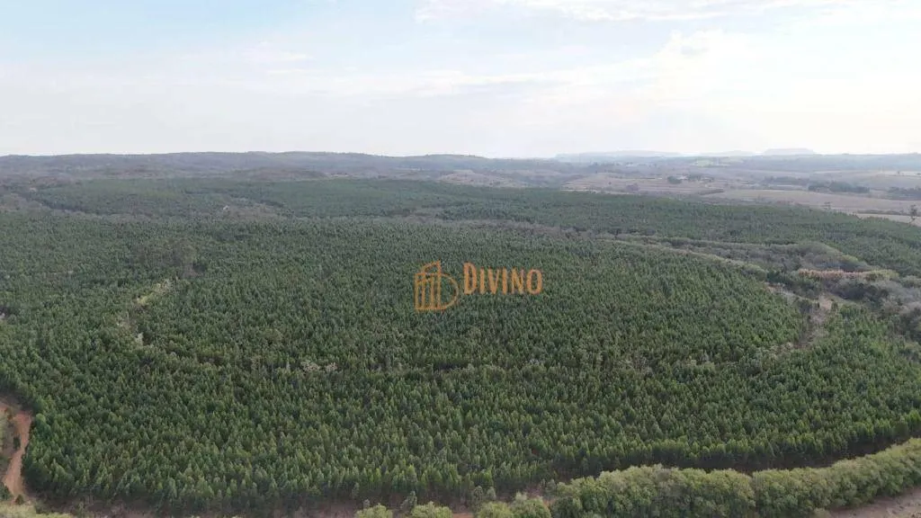 Fazenda à venda de 469 ha em Tatuí, SP, Brasil