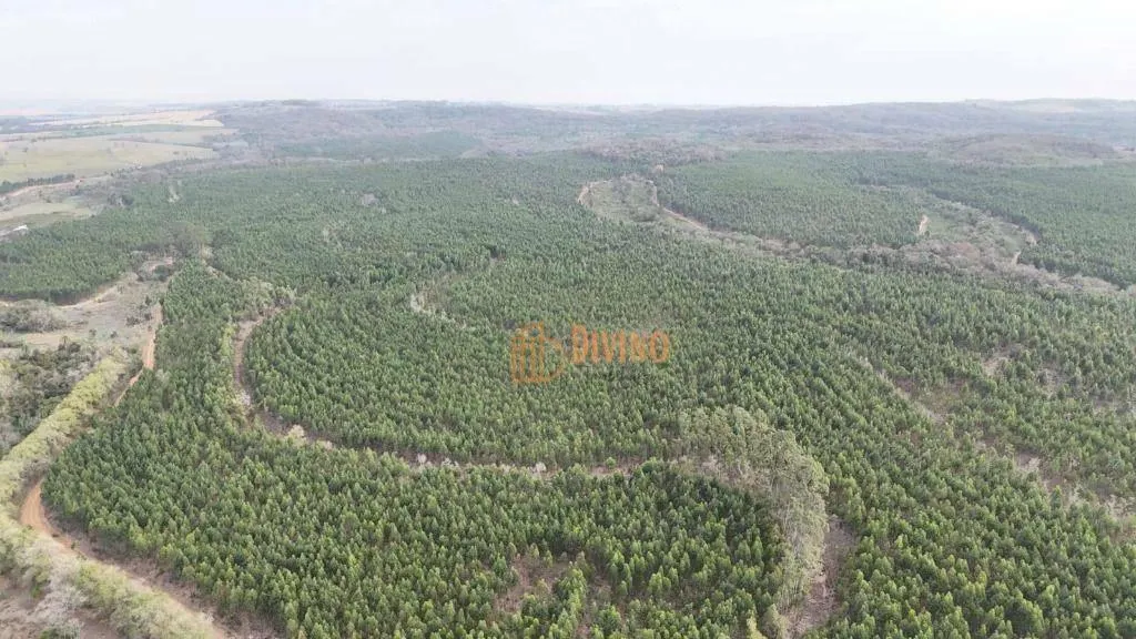 Fazenda à venda de 469 ha em Tatuí, SP, Brasil