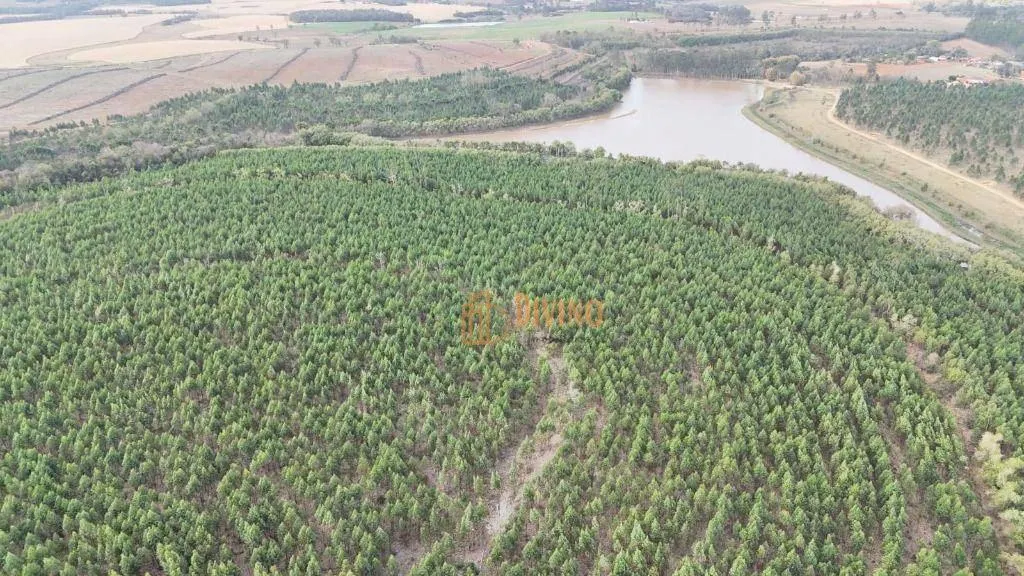 Fazenda à venda de 469 ha em Tatuí, SP, Brasil
