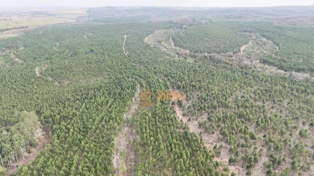 Fazenda à venda de 469 ha em Tatuí, SP, Brasil