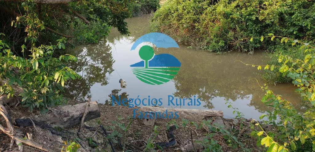 Fazenda à venda de 961 ha em Paraíso do Tocantins, TO, Brasil