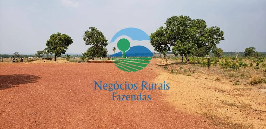 Fazenda à venda de 961 ha em Paraíso do Tocantins, TO, Brasil