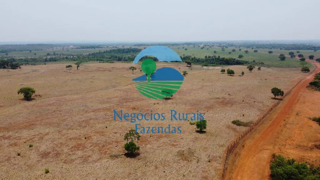 Fazenda à venda de 961 ha em Paraíso do Tocantins, TO, Brasil