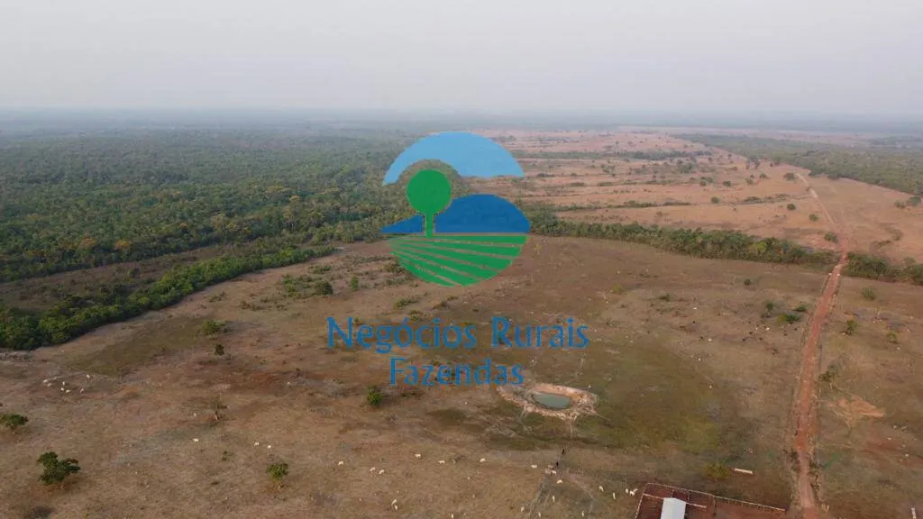Fazenda à venda de 961 ha em Paraíso do Tocantins, TO, Brasil