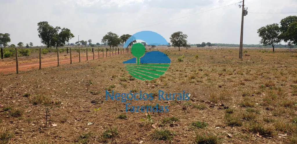 Fazenda à venda de 961 ha em Paraíso do Tocantins, TO, Brasil