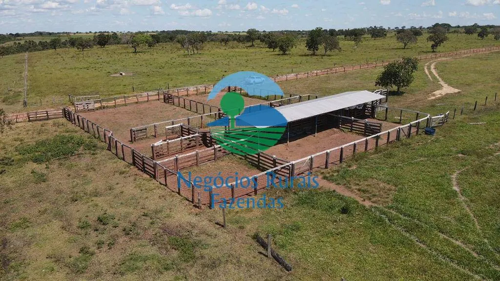 Fazenda à venda de 961 ha em Paraíso do Tocantins, TO, Brasil