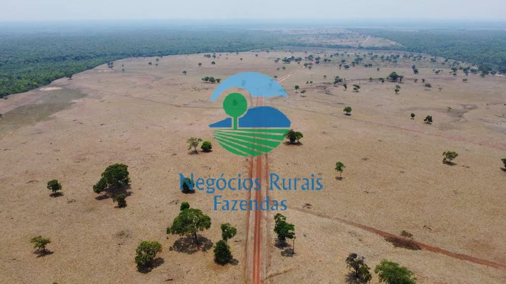 Fazenda à venda de 961 ha em Paraíso do Tocantins, TO, Brasil