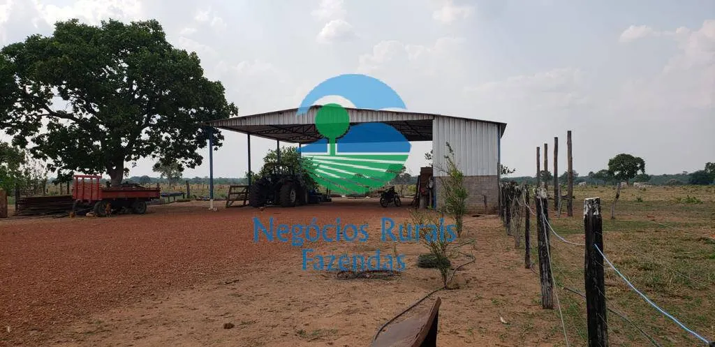 Fazenda à venda de 961 ha em Paraíso do Tocantins, TO, Brasil