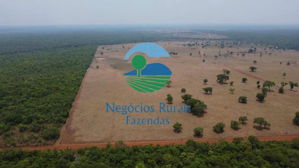 Fazenda à venda de 961 ha em Paraíso do Tocantins, TO, Brasil