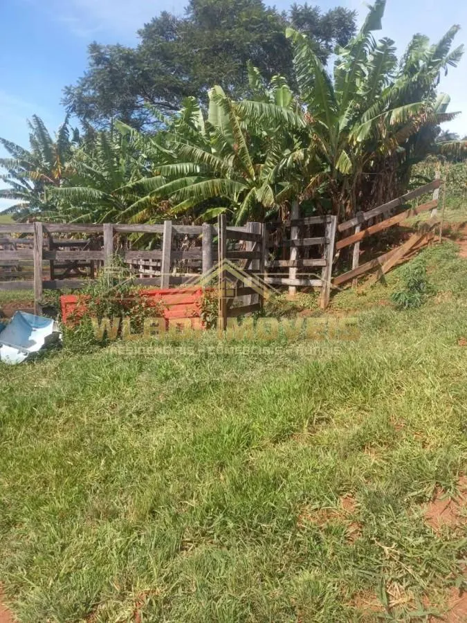 Fazenda à venda de 92 ha em Socorro, SP, Brasil