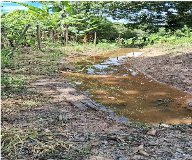 Sítio à venda de 9 ha em Brumadinho, MG, Brasil