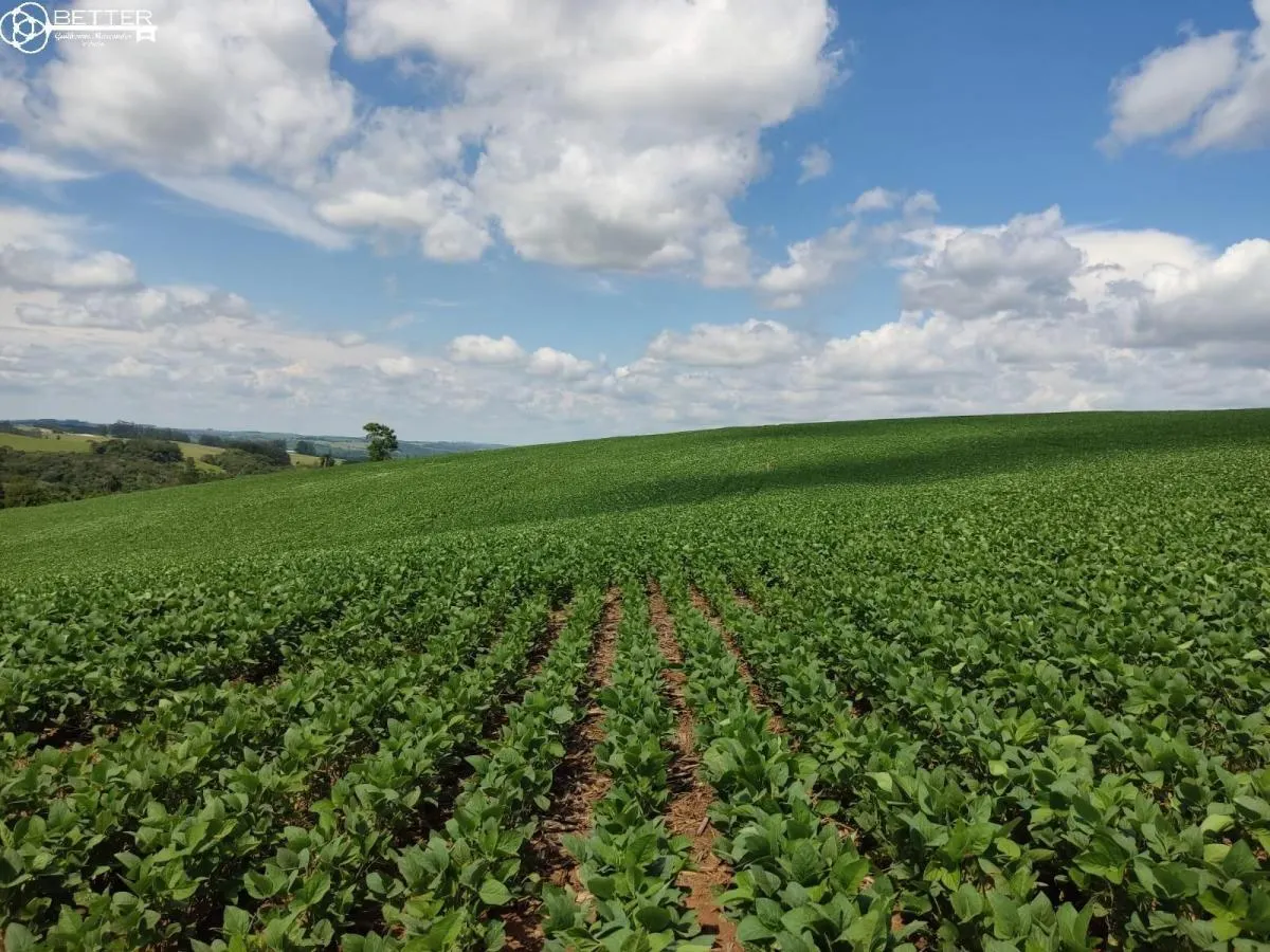Fazenda à venda de 136 ha em Capão Bonito, SP, Brasil