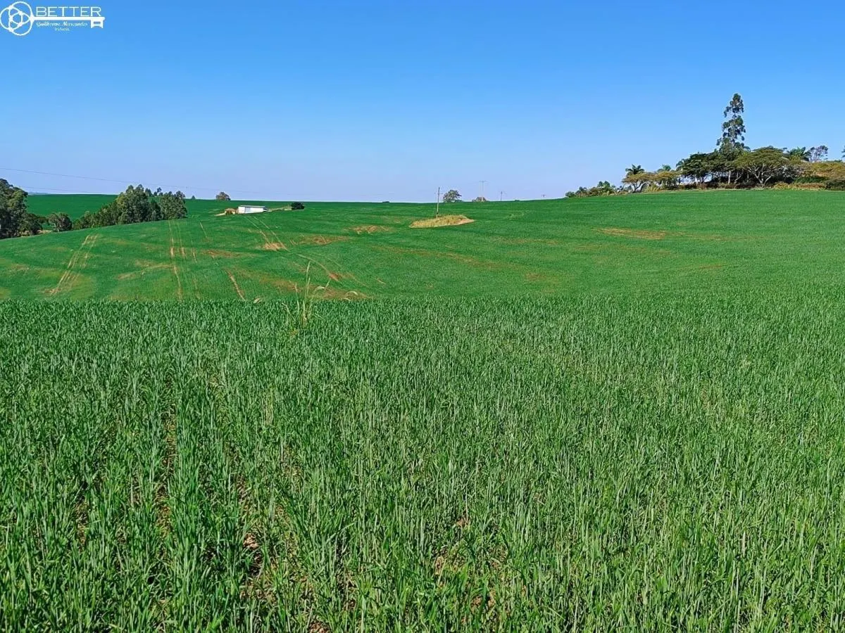 Fazenda à venda de 136 ha em Capão Bonito, SP, Brasil