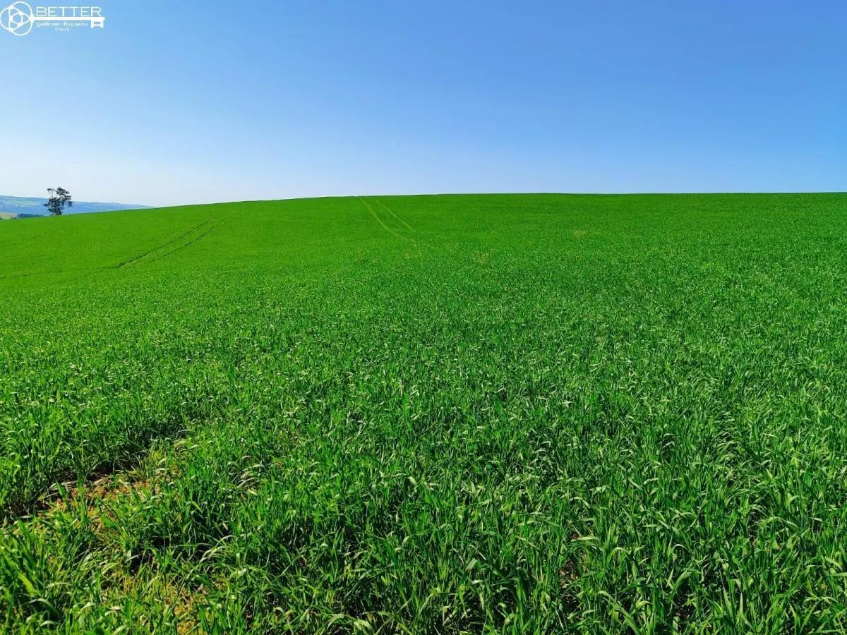 Fazenda à venda de 136 ha em Capão Bonito, SP, Brasil
