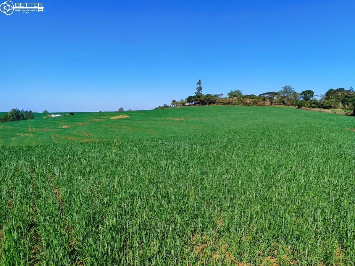 Fazenda à venda de 136 ha em Capão Bonito, SP, Brasil