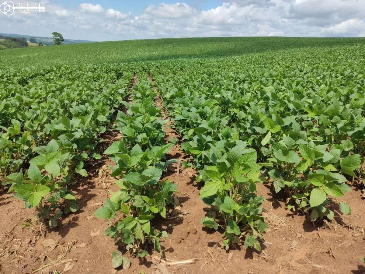 Fazenda à venda de 136 ha em Capão Bonito, SP, Brasil