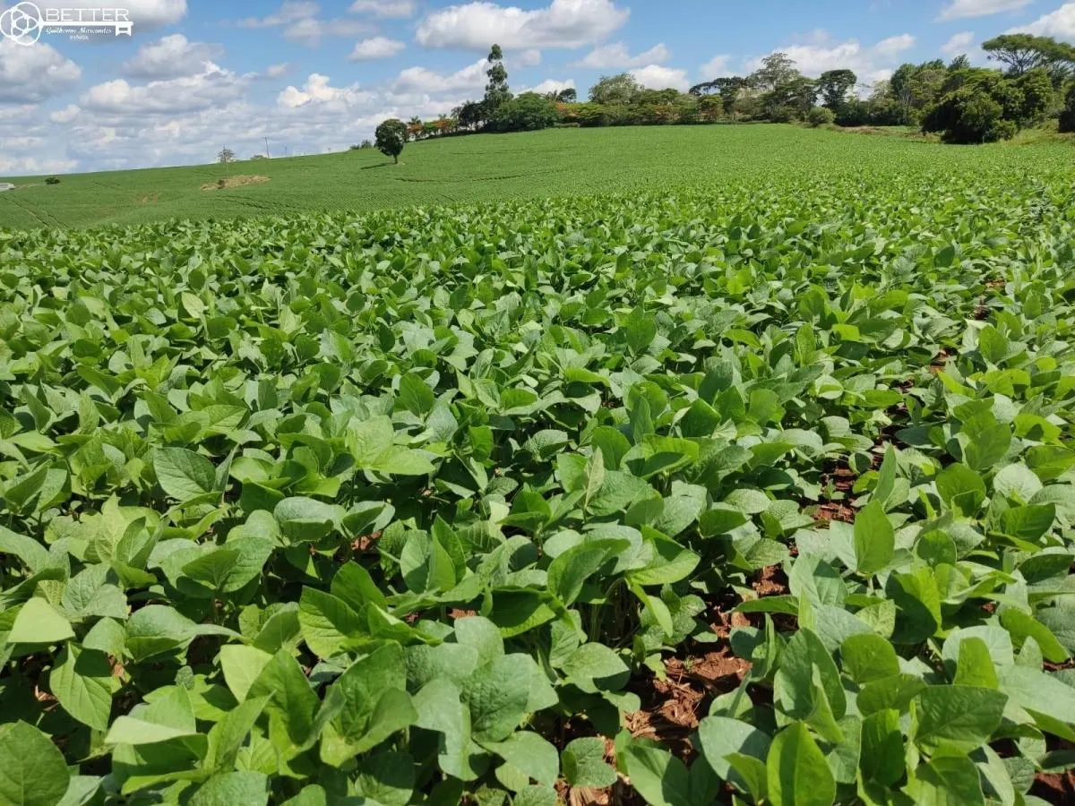Fazenda à venda de 136 ha em Capão Bonito, SP, Brasil