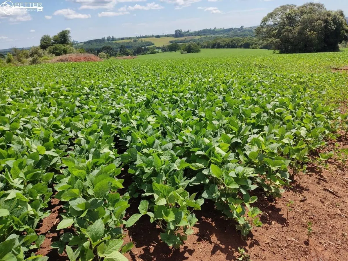 Fazenda à venda de 136 ha em Capão Bonito, SP, Brasil