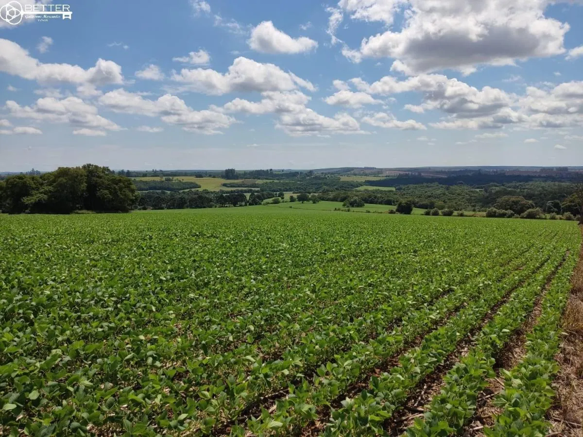 Fazenda à venda de 136 ha em Capão Bonito, SP, Brasil
