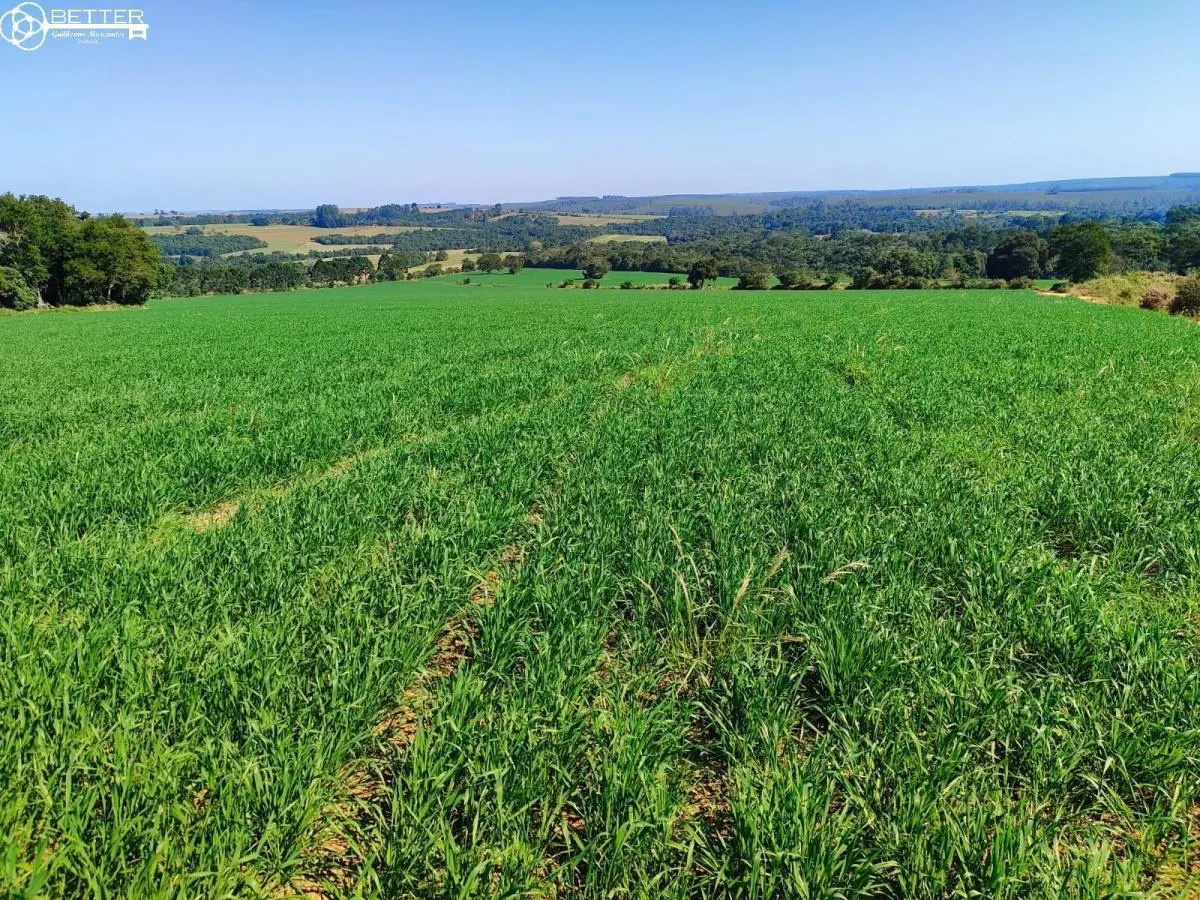 Fazenda à venda de 136 ha em Capão Bonito, SP, Brasil