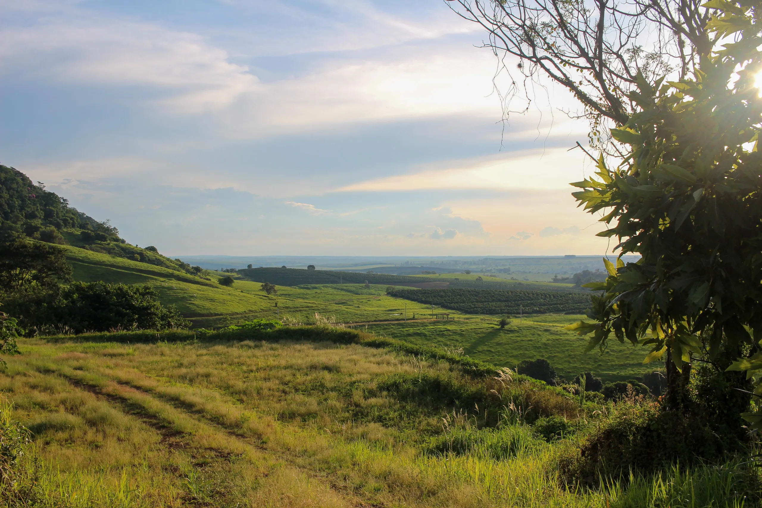 Terreno à venda de 3 ha em Pardinho, SP, Brasil