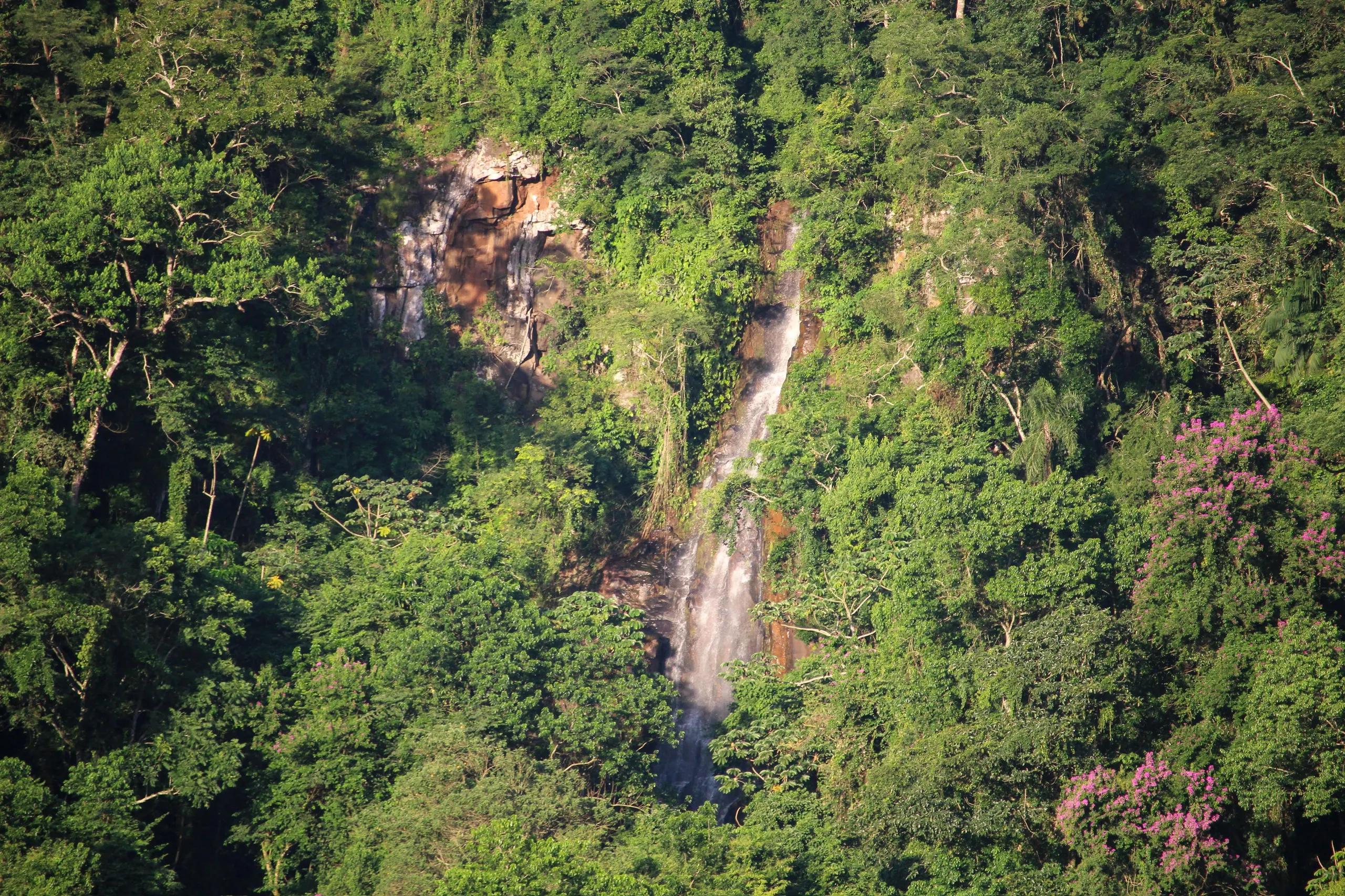 Terreno à venda de 3 ha em Pardinho, SP, Brasil