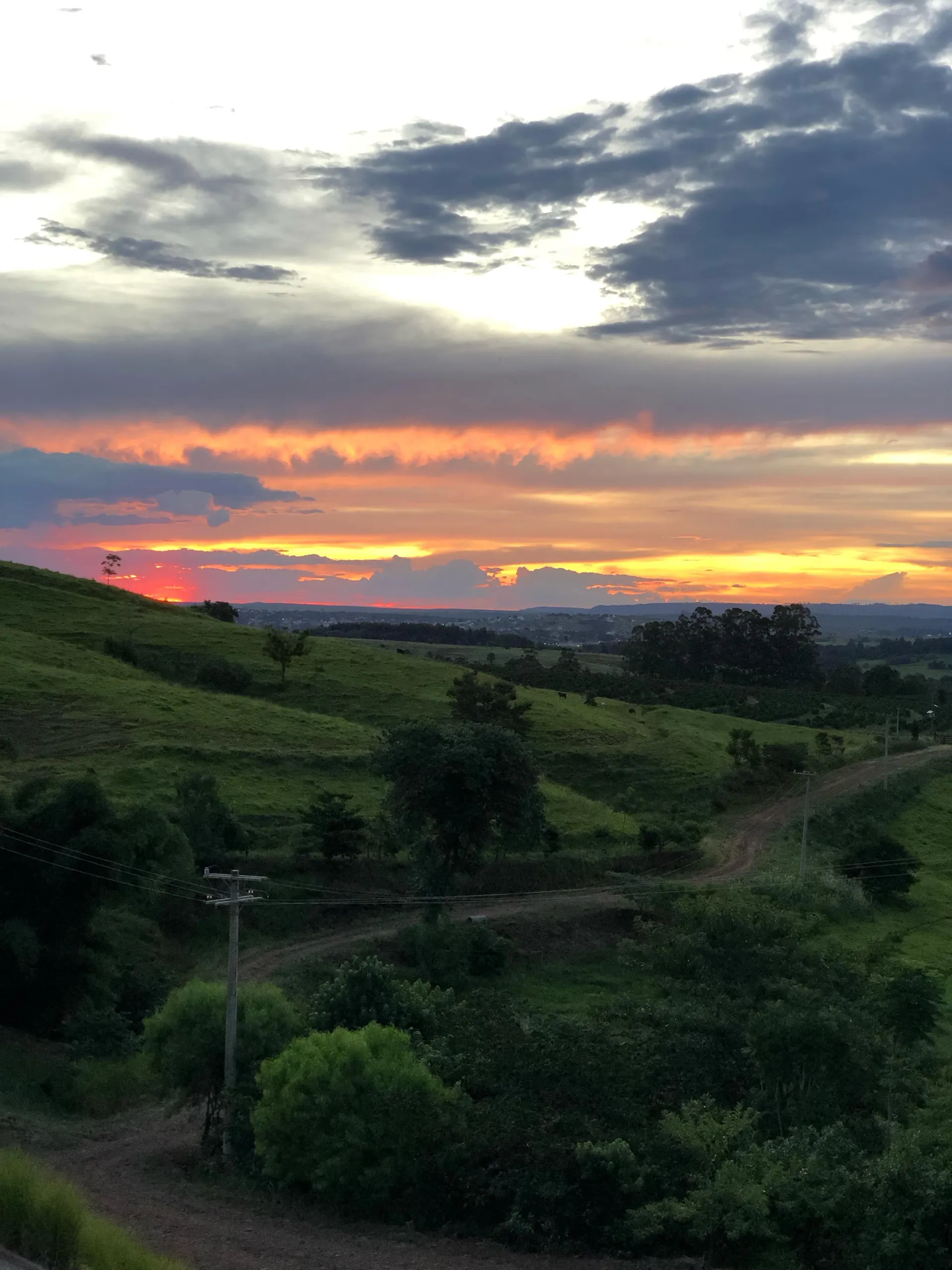 Terreno à venda de 3 ha em Pardinho, SP, Brasil